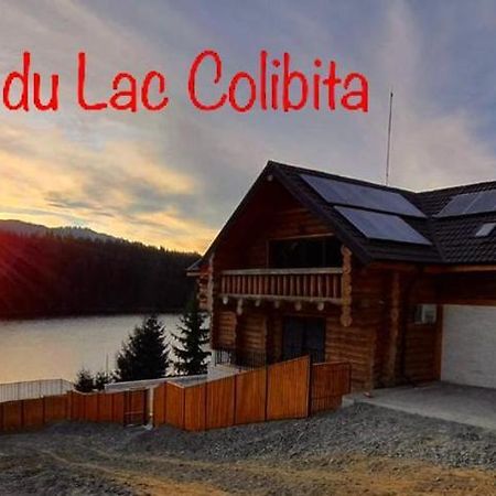 Chalet Du Lac Colibiţa エクステリア 写真