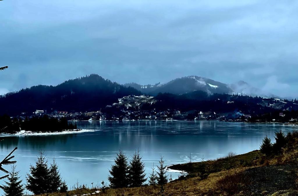 Chalet Du Lac Colibiţa エクステリア 写真