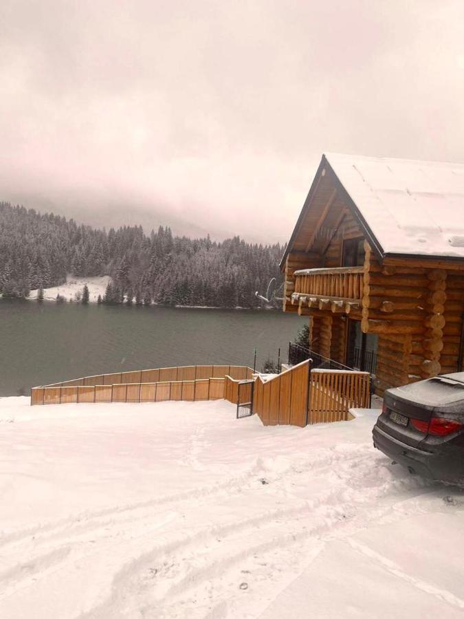 Chalet Du Lac Colibiţa エクステリア 写真