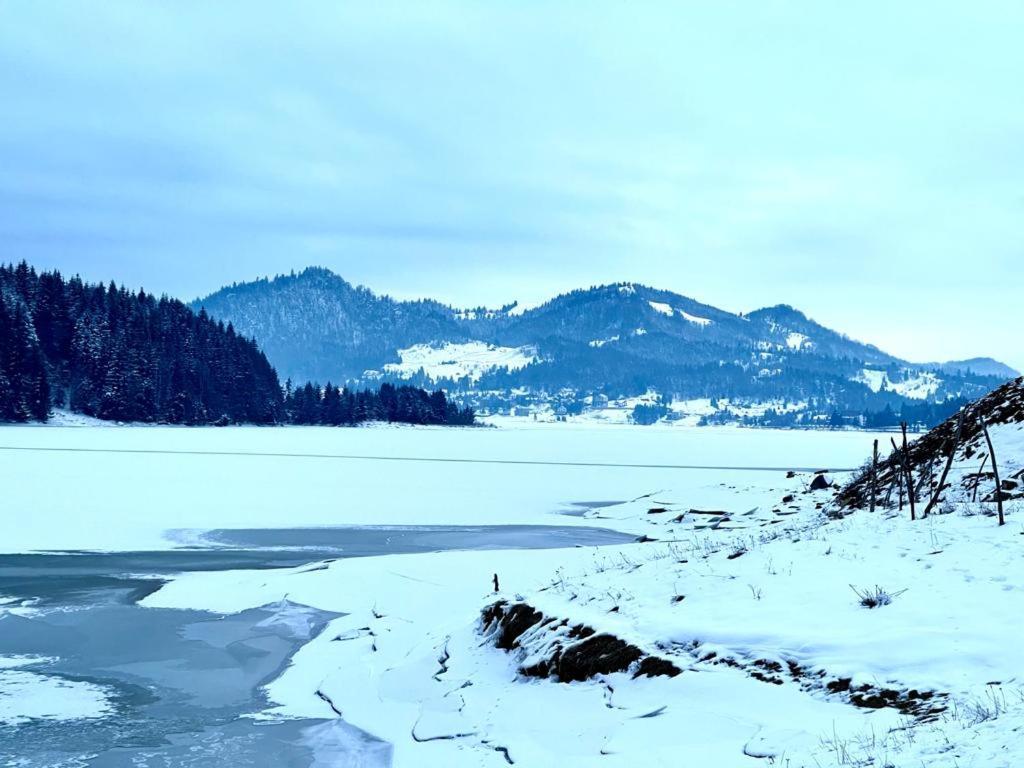 Chalet Du Lac Colibiţa エクステリア 写真