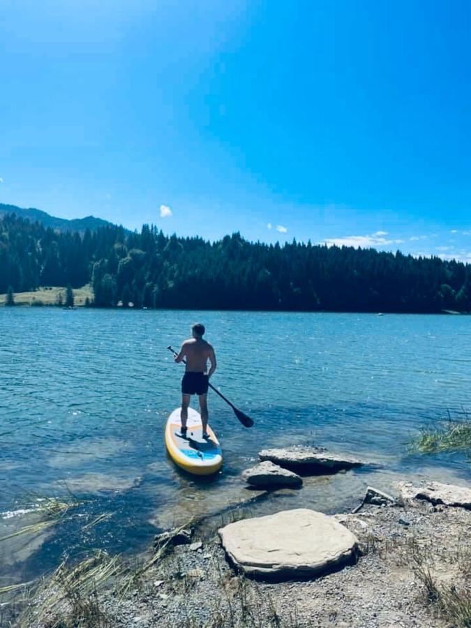 Chalet Du Lac Colibiţa エクステリア 写真