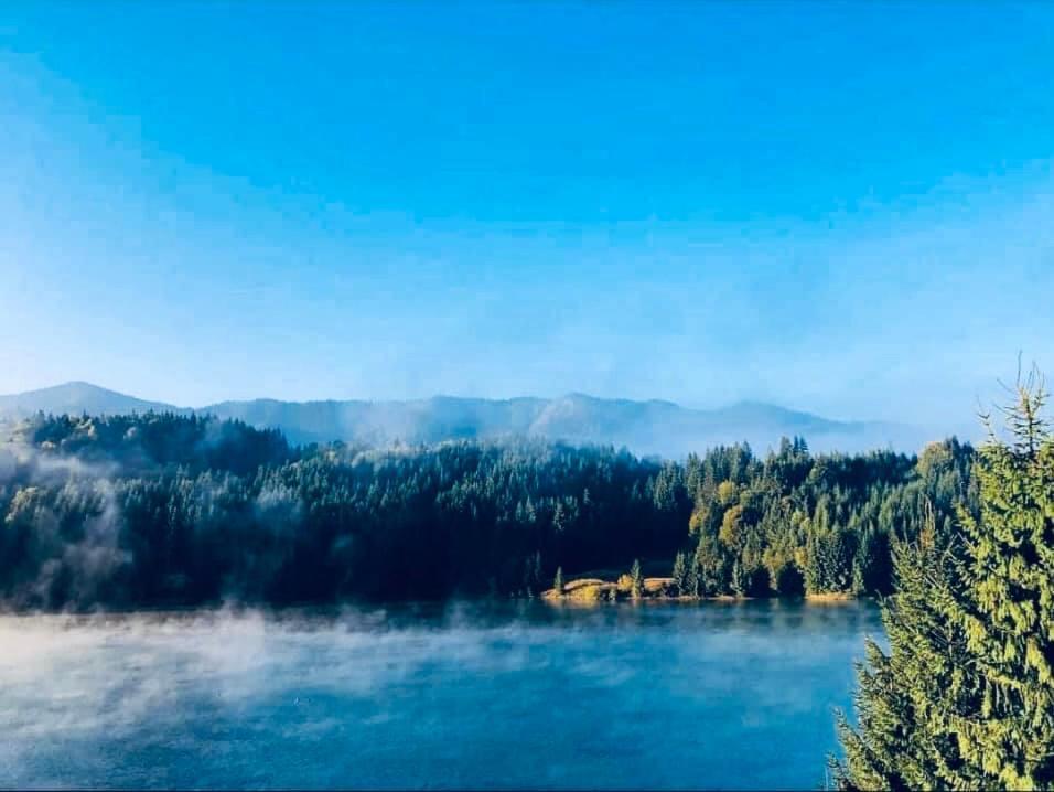 Chalet Du Lac Colibiţa エクステリア 写真