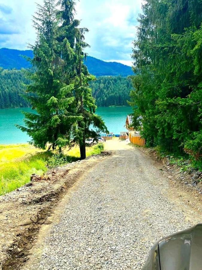 Chalet Du Lac Colibiţa エクステリア 写真